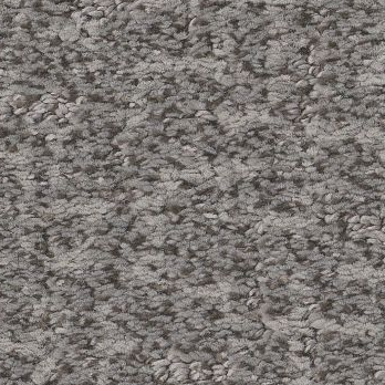 Knickknack (ZZ271-00543) Carpet Flooring | Anderson Tuftex