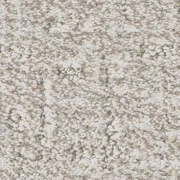 Knickknack (ZZ271-001111) Carpet Flooring | Anderson Tuftex